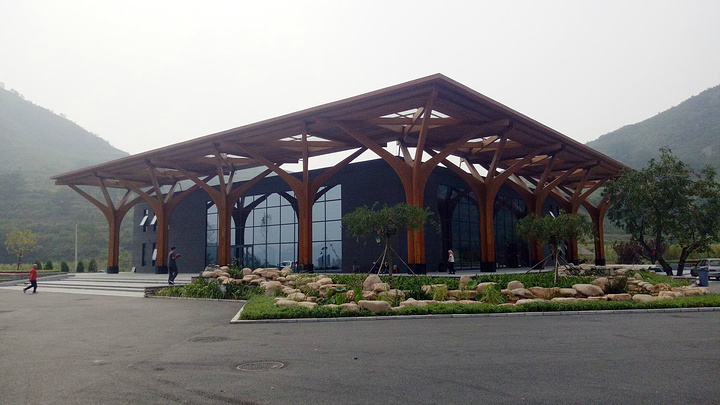 向阳村街道_向阳村2018年的人均(3)