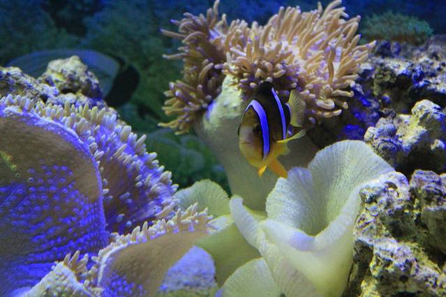 重庆欢乐海底世界