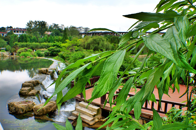 花溪国家城市湿地公园十里河滩景区图片