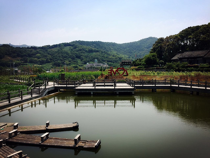 玩在"干施岙 ":寻花问路,识他乡图片