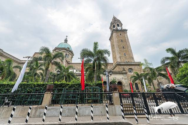 圣母无原罪圣殿主教座堂