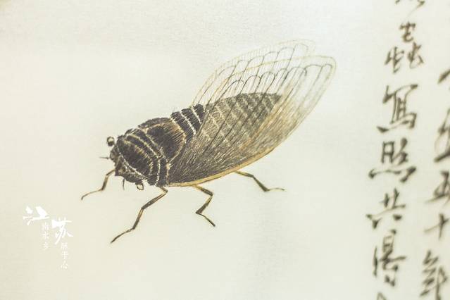 中国刺绣艺术馆