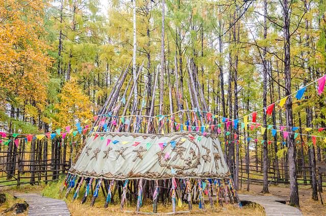 敖鲁古雅驯鹿之乡