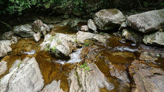 钱江源国家森林公园