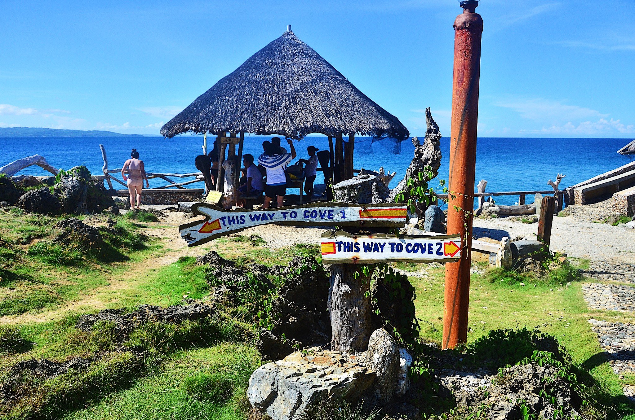 2023水晶岛游玩攻略,这个阶梯只能一个人走~密林中.【去哪儿攻略】