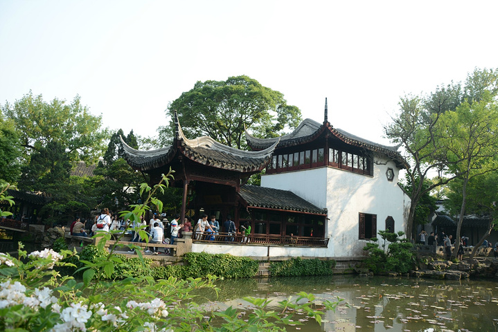 湖水的尽头,倒影在水里摇曳,湖水两边的树木像两条指引线_拙政园&quot