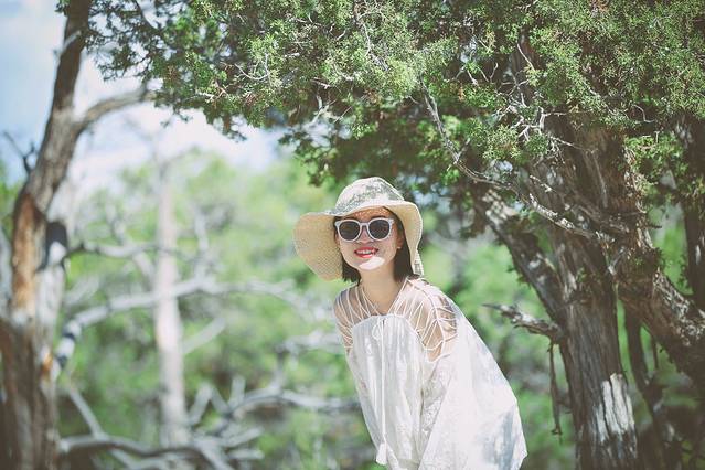 Yavapai Observation Station