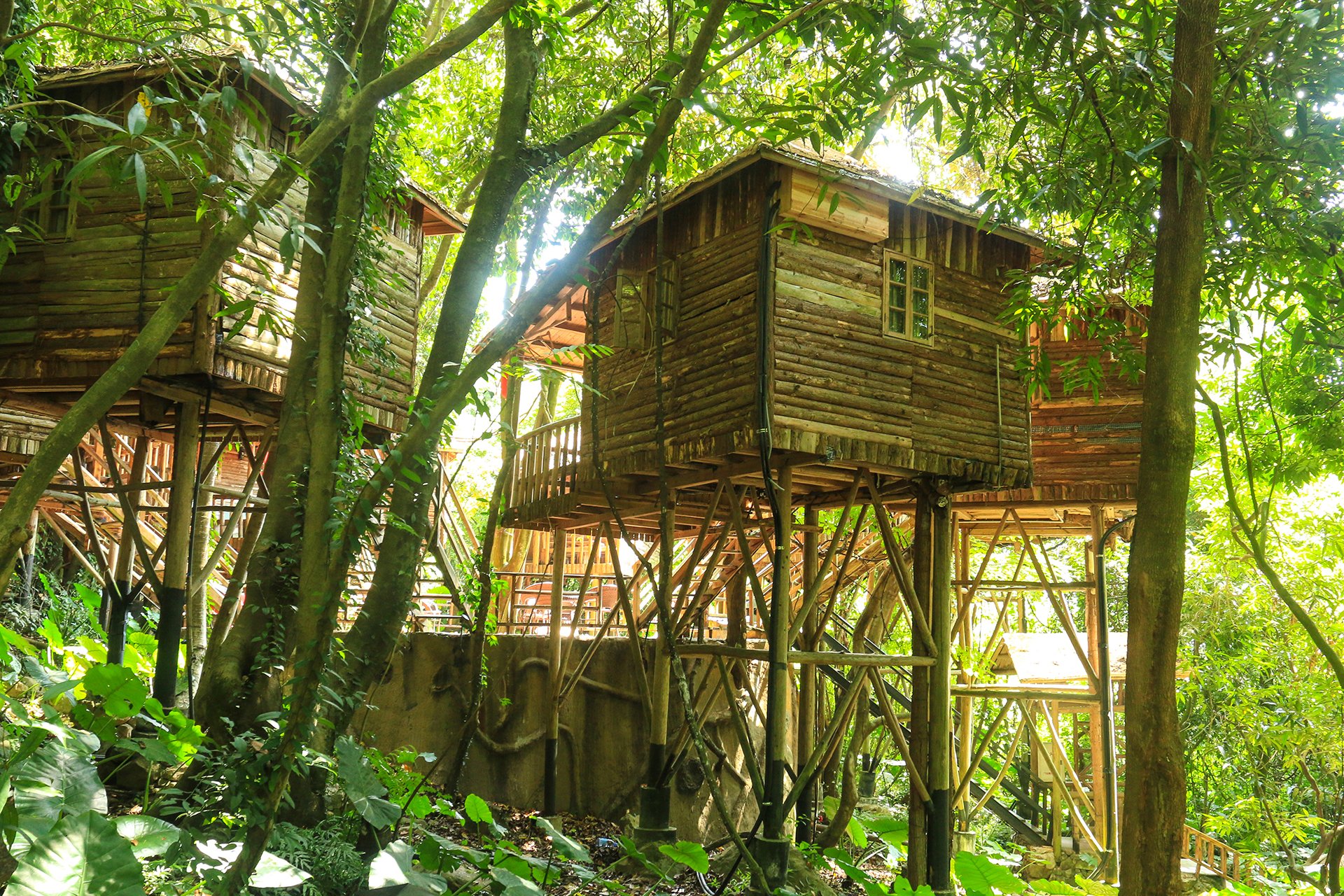 天门沟树上温泉