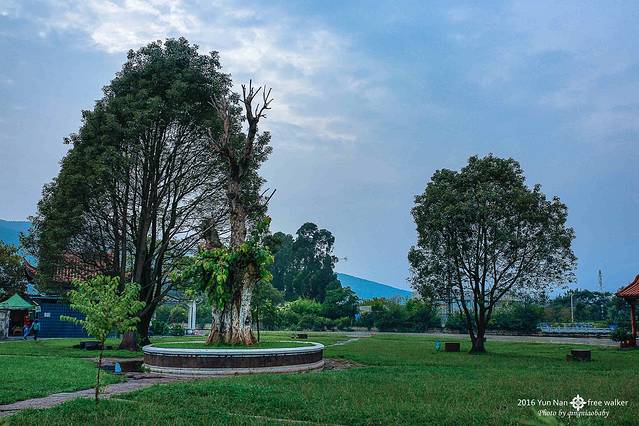 呈贡滇池生态湿地公园