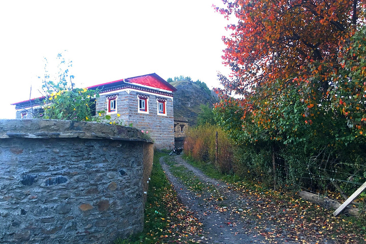 白杨树挺拔矗立,牛羊在安详地吃草,阳光从云缝