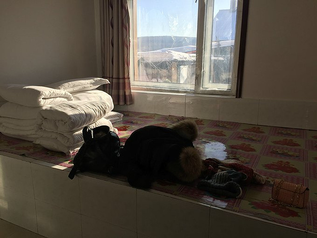 我们住的是北红村村支书家的大火炕,一间房100块能睡3个人,都是他们