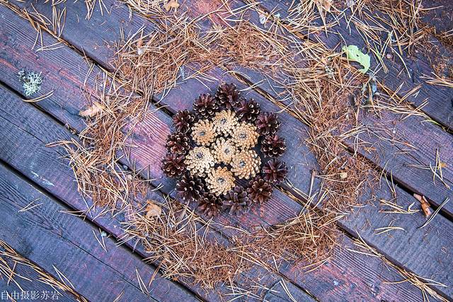 伊克萨玛国家森林公园