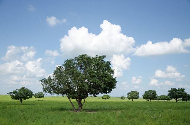 科尔沁国家级自然保护区