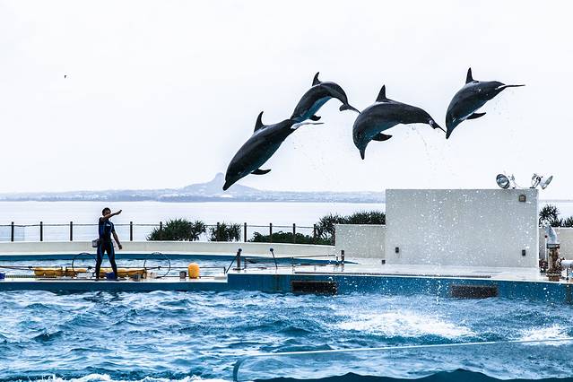 国营冲绳纪念公园