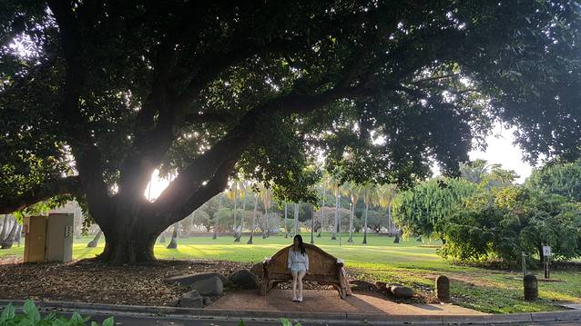 乔治·布朗植物园