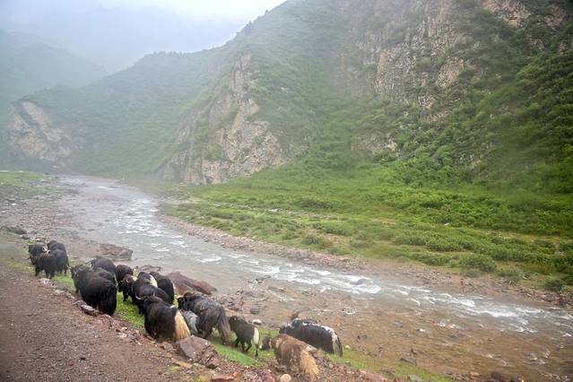 峨堡古城遗址公园