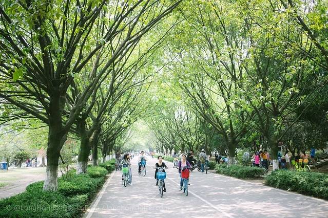 大夫山森林公园