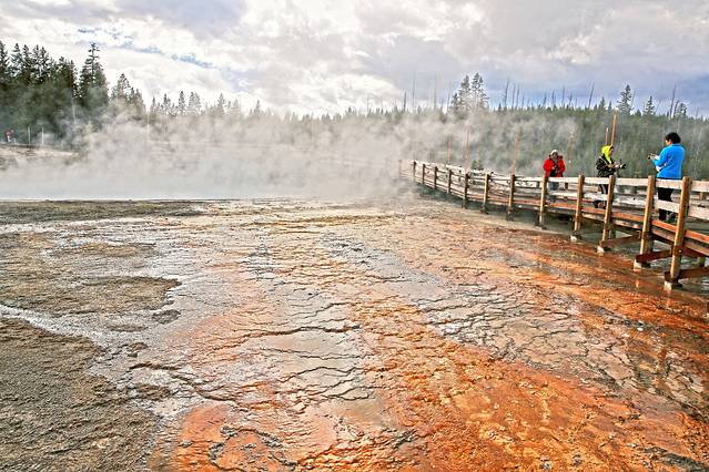 黄石公园间歇喷泉区