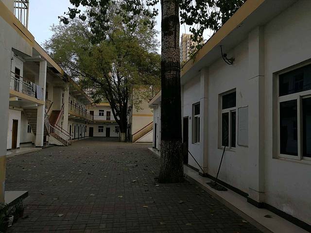 陕西师范大学(雁塔校区)-牡丹园