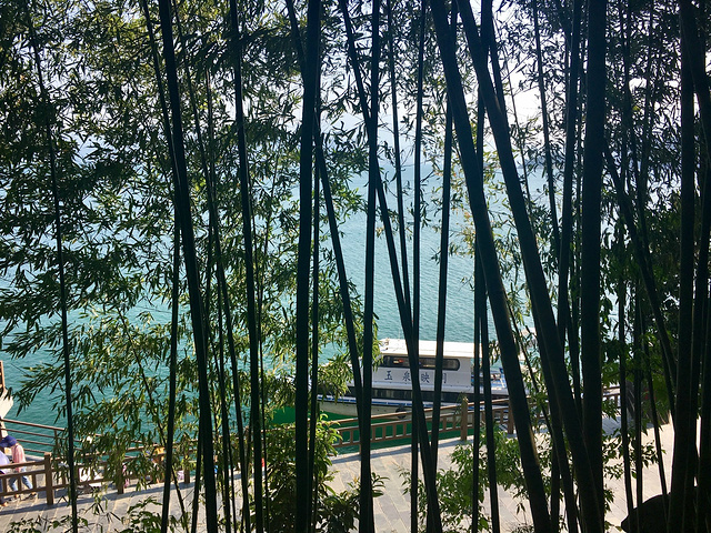 2019 这里有个小建议,上车后想看风景的可以坐