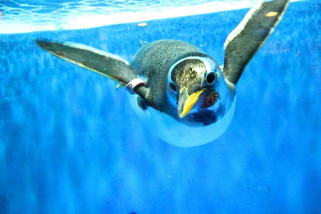 哈尔滨极地公园·海洋馆