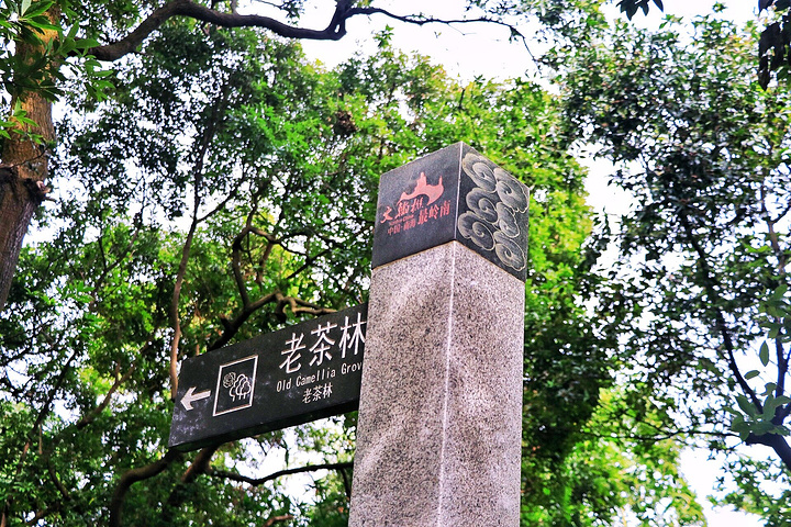 2017这座文化名山地理位置特殊,位于中国广东