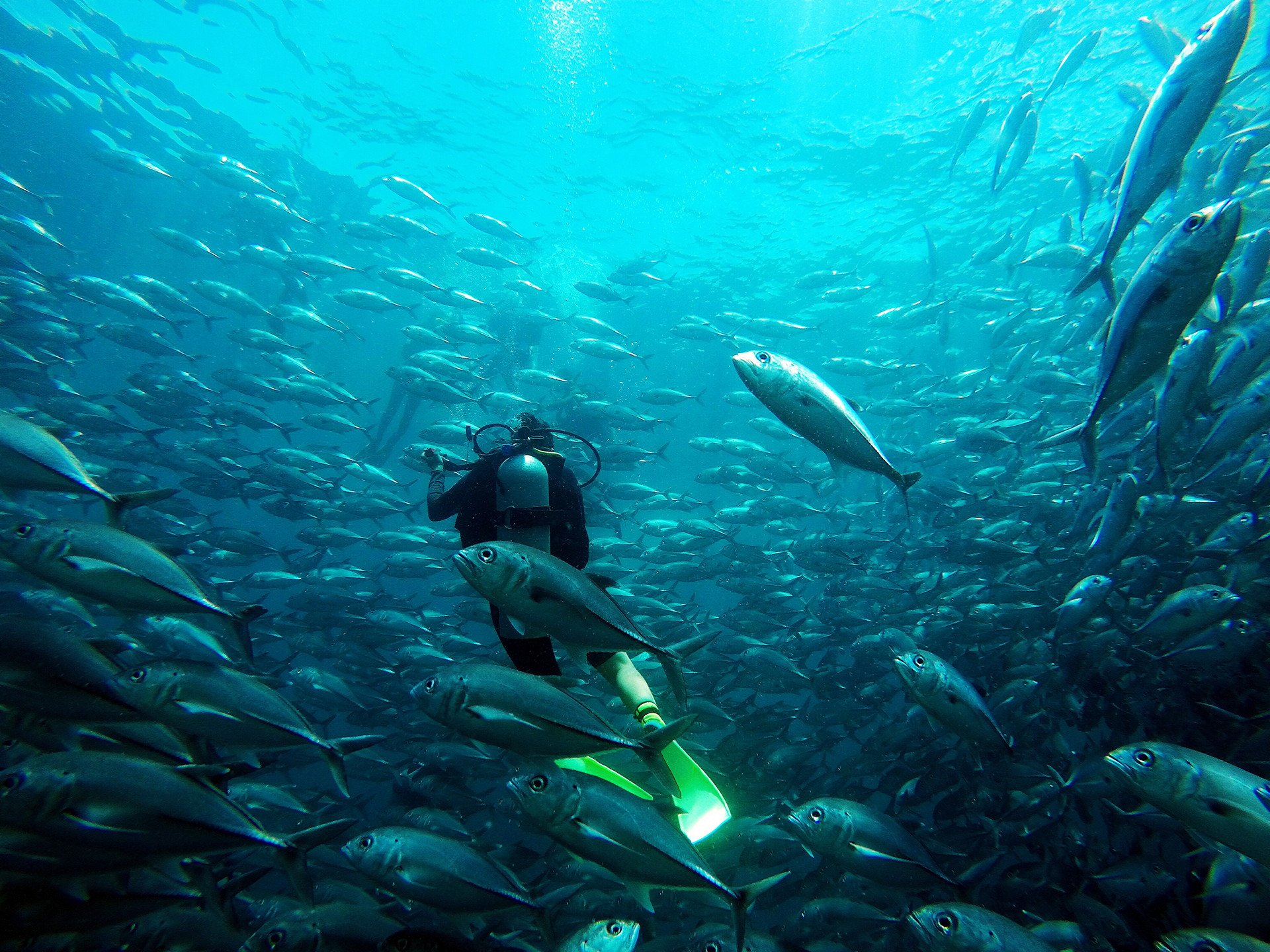 21西巴丹岛游玩攻略 克风暴 慢慢的穿过鱼墙 去哪儿攻略