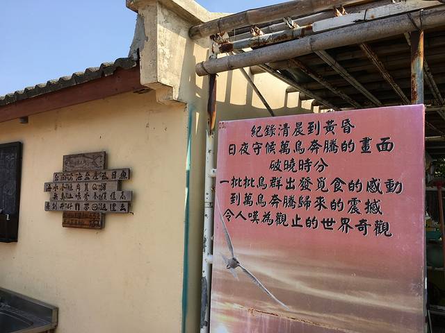 井仔脚瓦盘盐田