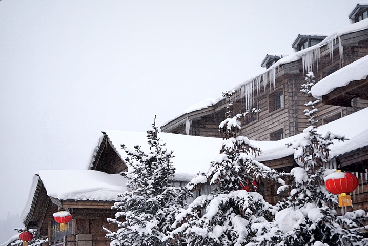 我连雪球都做不好。好看的说不出话。首先我要