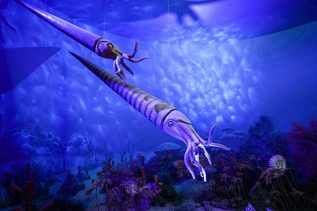 国家自然博物馆