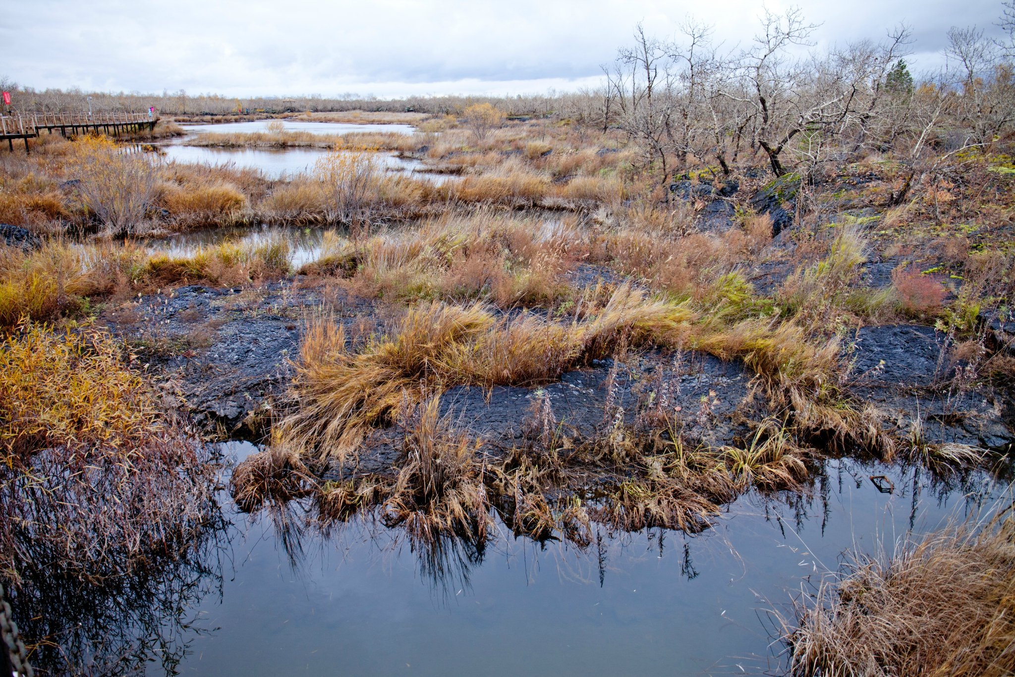 在温泊游览了大约两个小时,尽管天气不好,但是感觉还是不错的,风景很