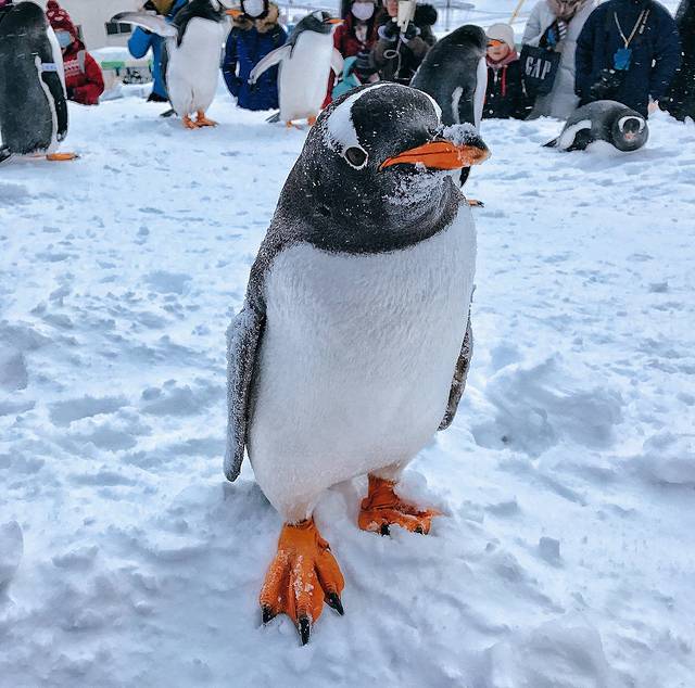 小樽水族馆