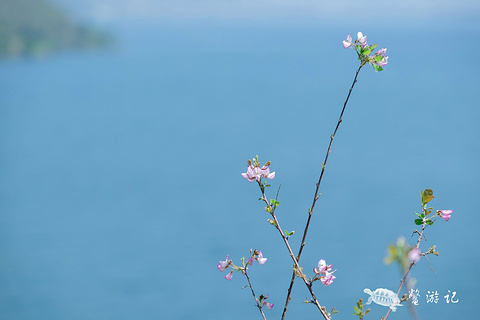 抚仙湖旅游景点攻略图