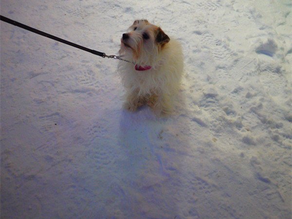 Sampokeskus Shopping Centre