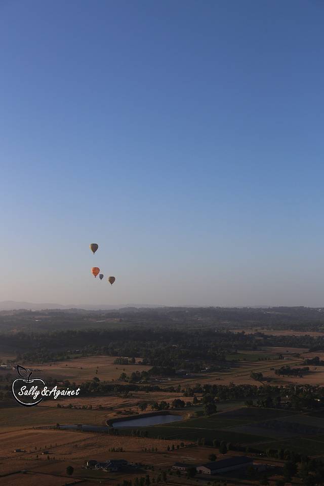 亚拉河谷热气球