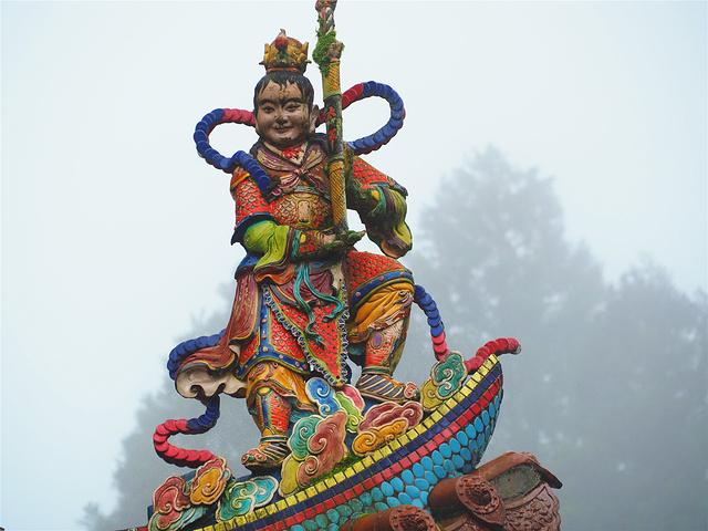 22阿里山有五奇 日出 云海 晚霞 森林和登山火车 这次因为天气原因我们只看到森林和登山火车 阴天里 阿里山森林游乐区 评论 去哪儿攻略