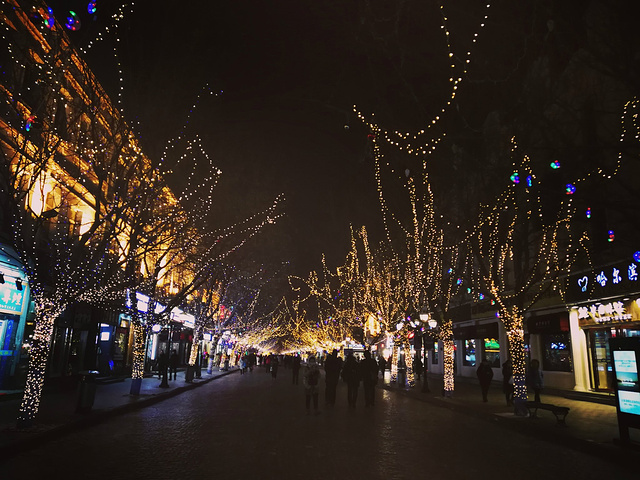 夜晚的中央大街灯火璀璨,行人众多,其实也就是城市出名的步行街,走在