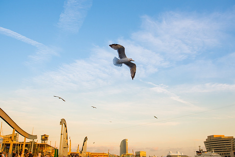 巴塞罗那旅游攻略