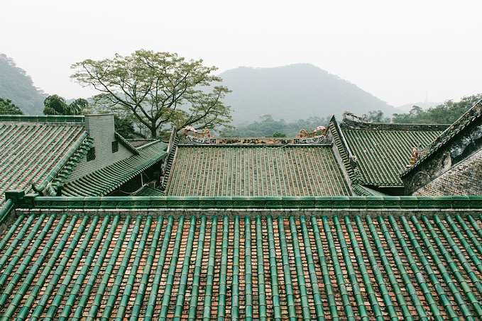 庆云寺的屋顶是颇具岭南古建筑风格的青瓦,像一根根绿色的竹杠架于
