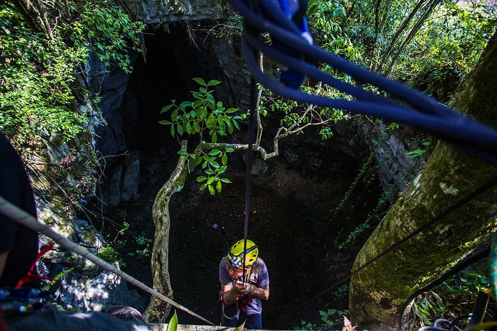居然有9.6万平方米的植物覆盖率,这个数据和峭