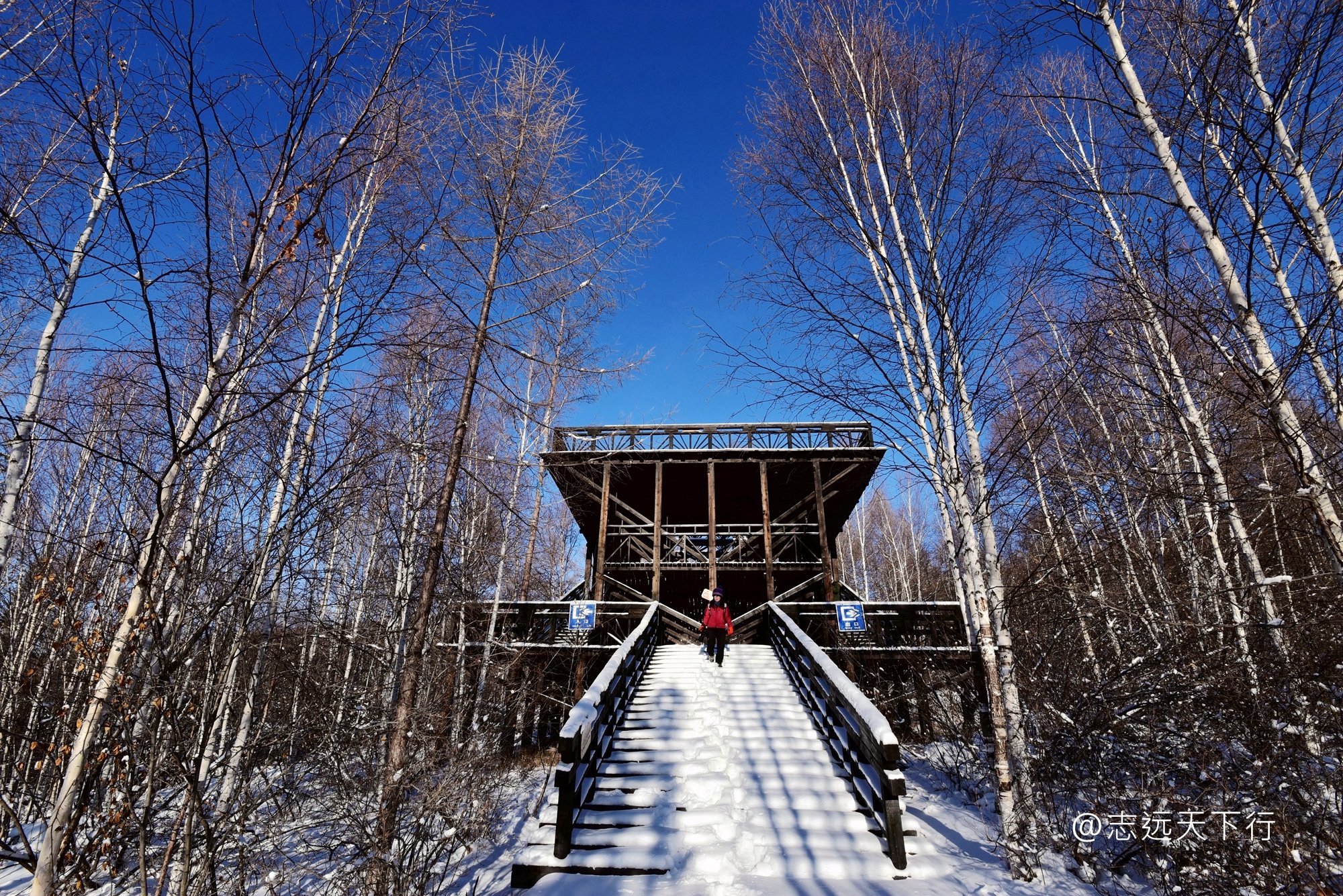 2022莫尔道嘎国家森林公园游玩攻略,不过冬季由于大雪封山,景区.