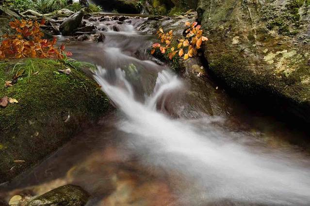 百里龙山国家森林公园