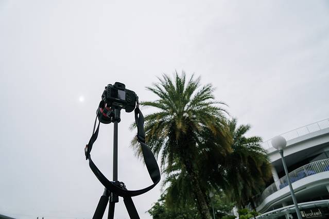 Pedro（怡丰城）