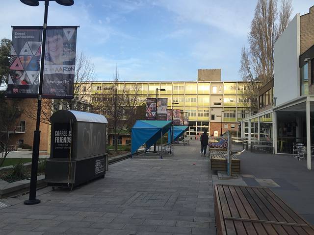 塔斯马尼亚大学