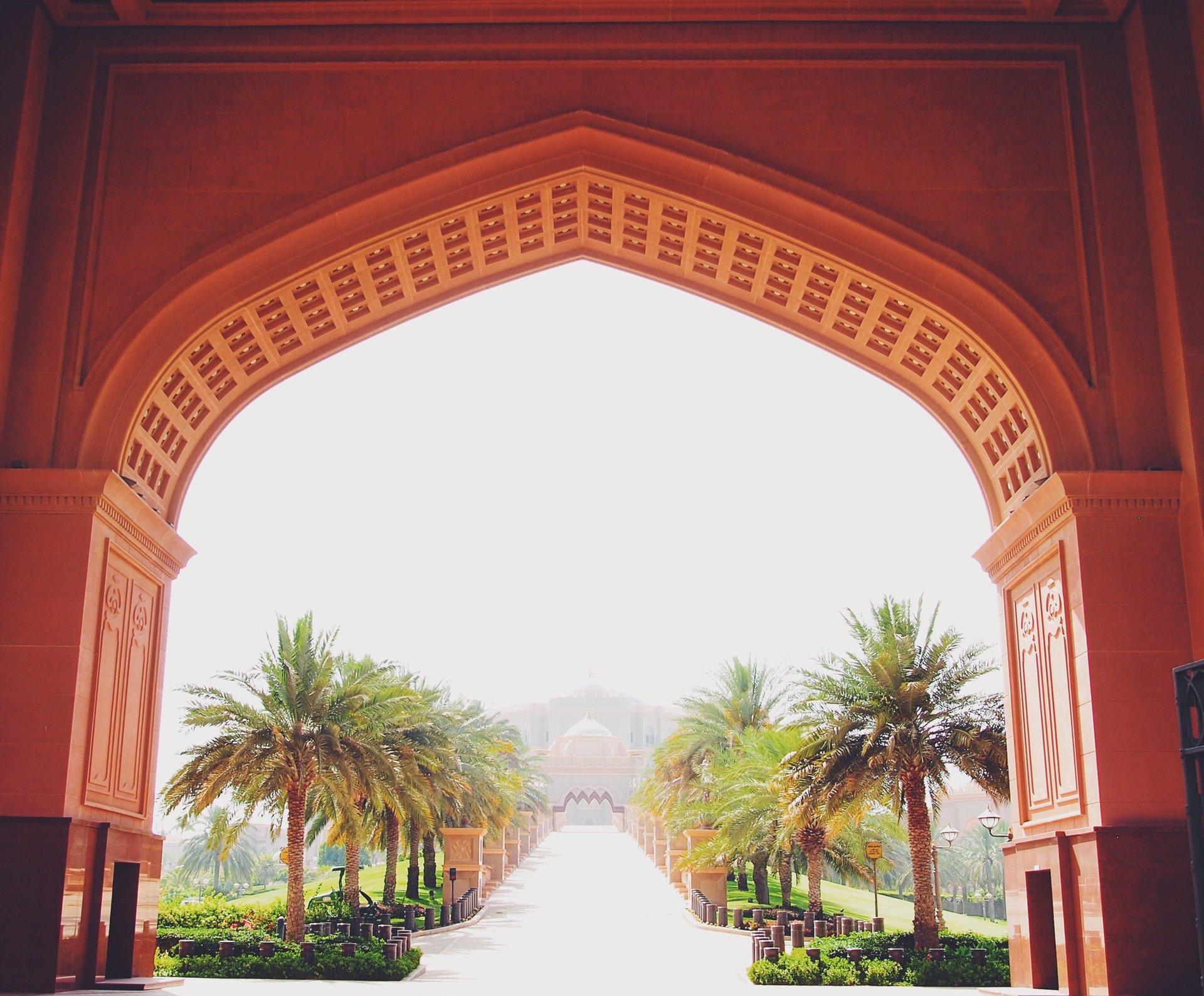 迪拜的火烈鸟栖息地的地点,在主干道旁边有一块湿地,然后火烈鸟就在