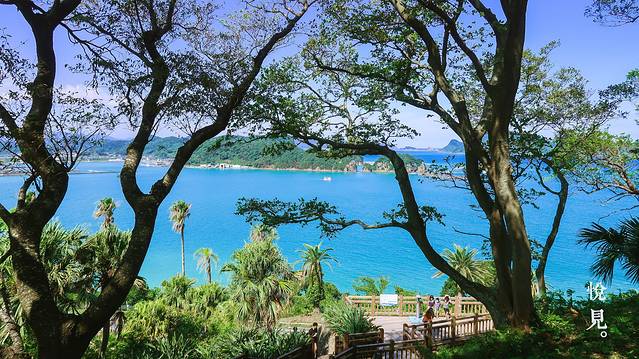 青岛亚热带植物园