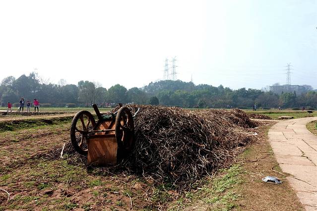 八卦田遗址公园