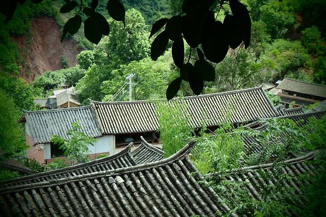 黄遐昌家庭生态博物馆