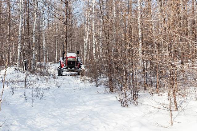 布冬霞部落猎民点