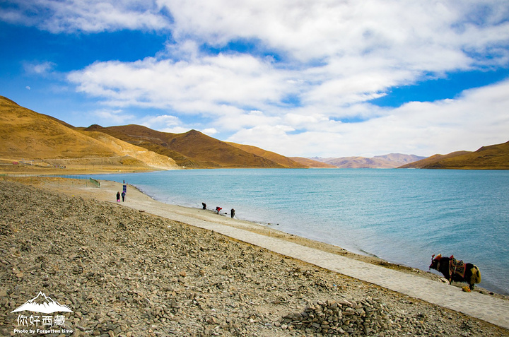 羊湖自驾环湖线路图,羊卓雍措自驾环线图,羊湖环湖路线_大山谷图库